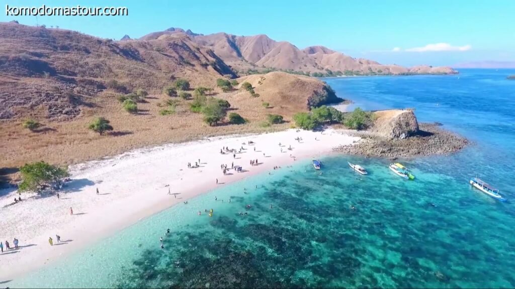 komodo day trip