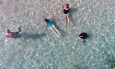 pink beach snorkeling day tour