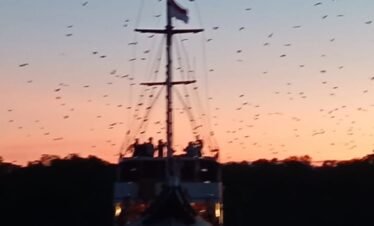 labuan bajo sunset to kalong