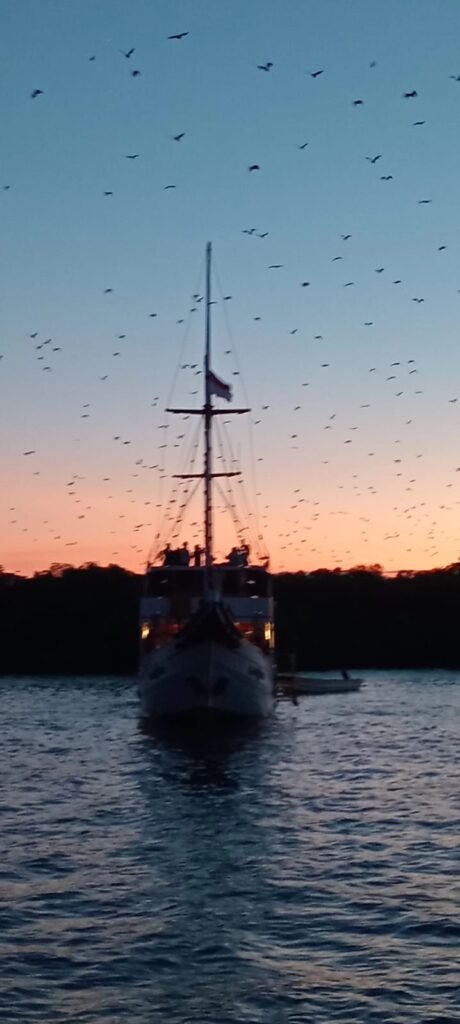 labuan bajo sunset to kalong