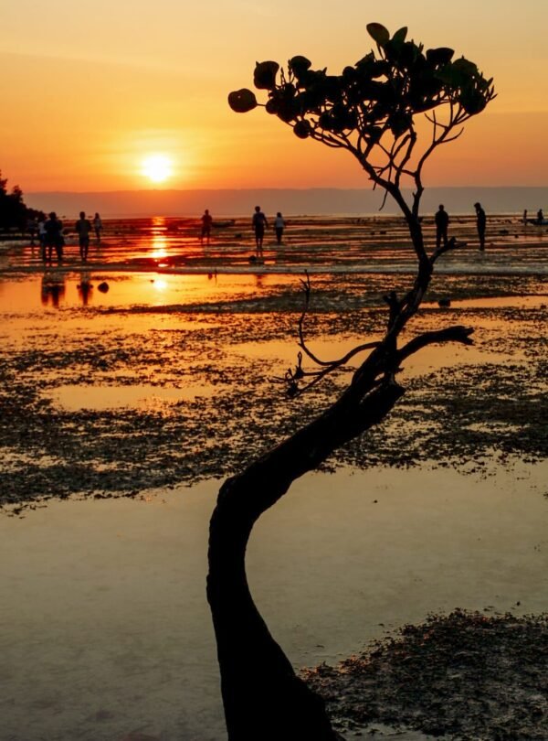 sumba island susnet